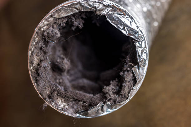 Best Professional Duct Cleaning Services  in Brookston, IN