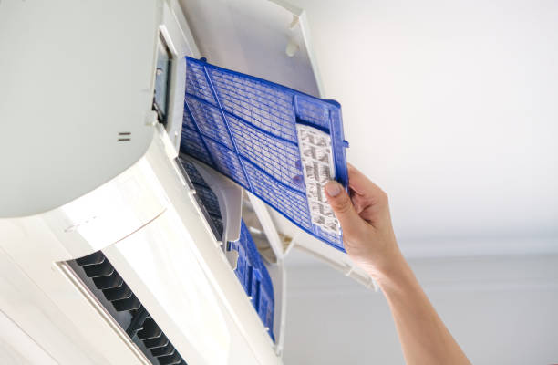 Best Air Duct Mold Removal  in Brookston, IN
