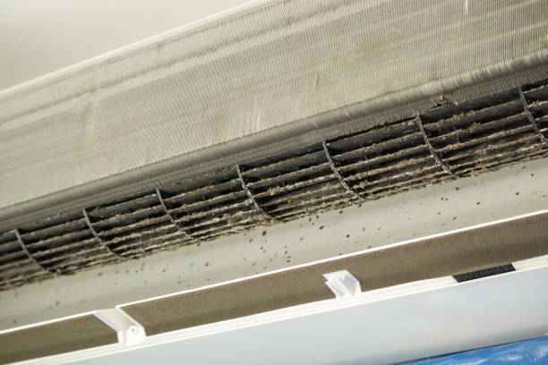 Best Commercial HVAC Duct Cleaning  in Brookston, IN